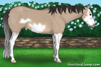 Horse Color:Bay Dun Splash Frame