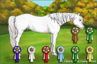 Horse Color:White Spotted Silver Bay Frame Appaloosa