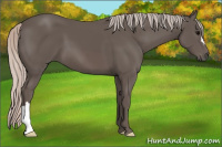 Horse Color:Silver Black 