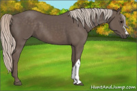 Horse Color:Silver Black 