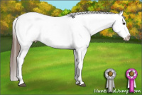 Horse Color:Bay Splash Appaloosa
