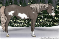 Horse Color:Silver Black Frame