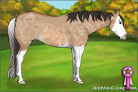 Horse Color:Bay Ice Dun Splash 
