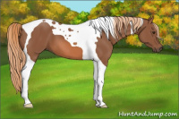 Horse Color:Chestnut Tobiano