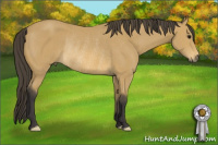 Horse Color:Buckskin Rabicano 