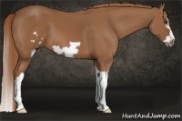 Horse Color:Chestnut Splash Frame 