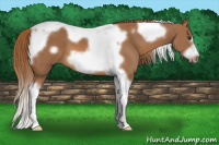 Horse Color:Chestnut Tobiano Frame