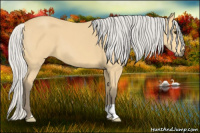 Horse Color:Silver Buckskin 