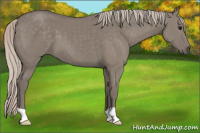 Horse Color:Silver Grullo 