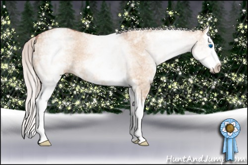 Horse Color: White Spotted Silver Brown Ice Dun Splash 
