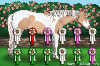 Horse Color:Silver Classic Champagne Sabino Tobiano