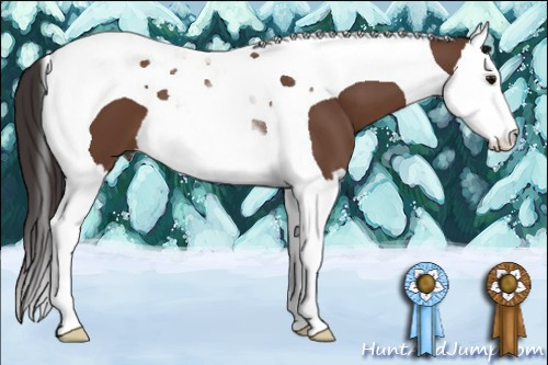 Horse Color: Bay Splash Tobiano 