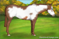 Horse Color:Liver Chestnut Frame 