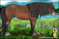 Horse Color:Bay Sabino 