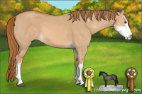 Horse Color:Red Dun Sabino 