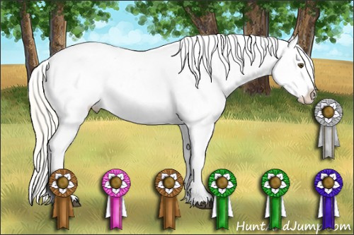 Horse Color: Palomino Dun Blanket 