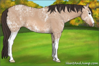 Horse Color:White Spotted Bay Ice Dun