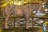 Horse Color:Brown Rabicano Brindle
