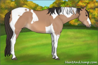 Horse Color:Bay Dun Tobiano 