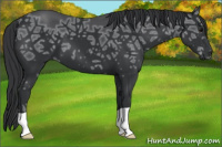 Horse Color:Brown Ice 