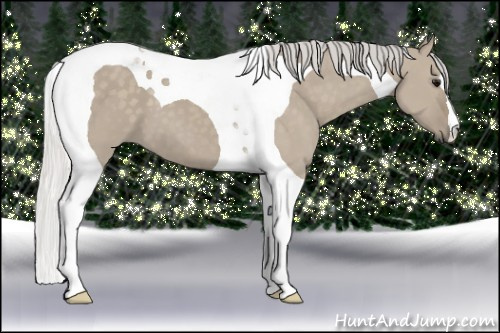Horse Color: Silver Smoky Grullo Tobiano 