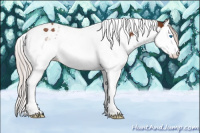 Horse Color:Silver Bay Splash Tobiano 