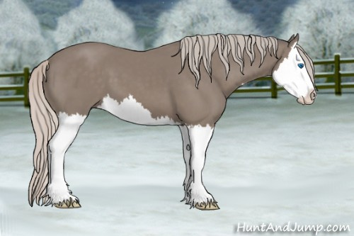 Horse Color: Silver Black Splash 
