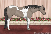 Horse Color:Brown Dun Tobiano 
