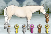 Horse Color:Silver Smoky Black Pearl Splash 