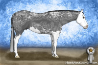 Horse Color:Black Ice Sabino Splash 