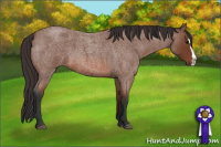 Horse Color:Bay Roan Splash