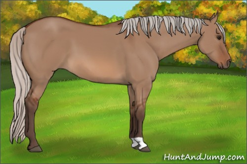Horse Color: Silver Bay Dun 