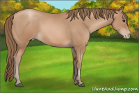 Horse Color:Black Pearl