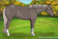 Horse Color:Silver Brown 