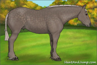 Horse Color:Silver Black 