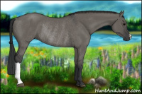 Horse Color:Grullo Rabicano 