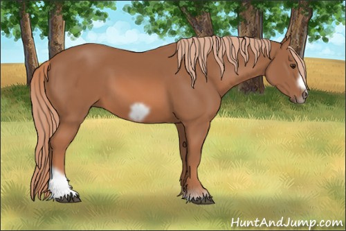 Horse Color: Liver Chestnut Tobiano Frame 