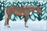Horse Color:Silver Black Tobiano 