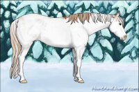 Horse Color:Chestnut Sabino 