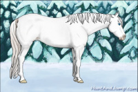 Horse Color:White Spotted Silver Brown Splash 