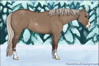 Horse Color:Silver Grullo Sabino 