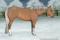 Horse Color:Silver Black 