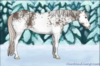 Horse Color:White Spotted Silver Black 
