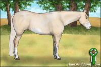 Horse Color:Silver Bay Pearl Dun Sabino 