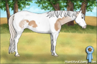 Horse Color:Silver Bay Dun Sabino Splash Tobiano