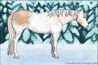 Horse Color:White Spotted Silver Black Pearl Sabino