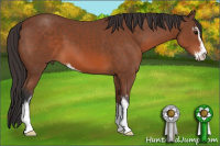 Horse Color:Bay Sabino 