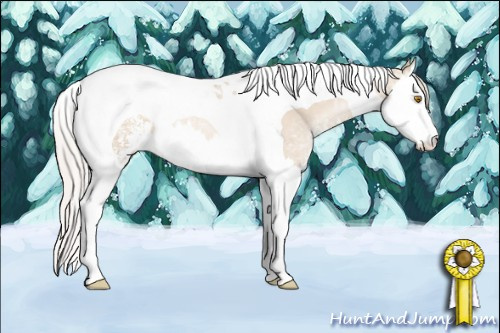 Horse Color: Silver Grullo Ice Pearl Sabino Splash Tobiano 