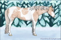 Horse Color:Silver Classic Champagne Ice Sabino Tobiano