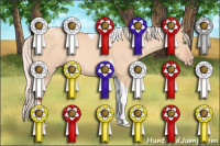 Horse Color:Silver Classic Champagne Dun Tobiano